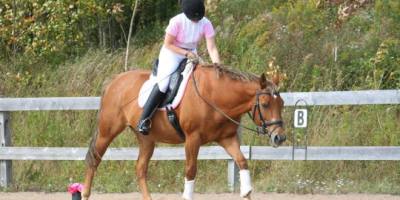 chestnut mare and rider in white breeches cooling out after dressage